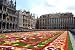 Flower Carpet Blossoms on Brussel's Main Square - 24