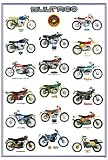 Bultaco motorcycle history POSTER 23.5 x 34 with 17 motorcycles Spanish Cemoto defunct maker