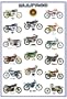 Bultaco motorcycle history POSTER 23.5 x 34 with 17 motorcycles Spanish Cemoto defunct maker (poster sent from USA in PVC pipe)