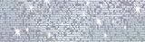 SILVER SPARKLE BOLDER BORDERS