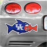 Kentucky Wildcats Large Rival Fish Magnet