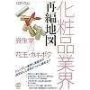 化粧品業界再編地図―資生堂VS花王・カネボウ