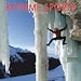 Extreme Sports 2009 Square Wall Calendar