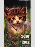 Cats Kittens 2010/2011 2 Year Pocket Planner Calendar