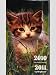 Cats Kittens 2010/2011 2 Year Pocket Planner Calendar
