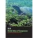 World Atlas of Seagrasses