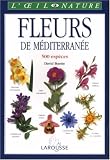 Fleurs de mediterran�e