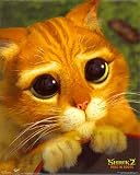 Shrek 2 Movie Poster Puss in Boots Cute Cat Face