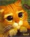 Shrek 2 Movie Poster Puss in Boots Cute Cat Face