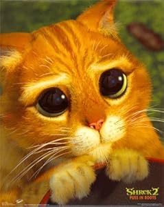 Amazon.com - Shrek 2 Movie Poster Puss in B