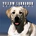 Book Yellow Labrador Retrievers 2004 Calendar