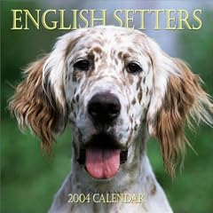 English Setters Wall Calendar: 2004