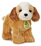 Knowing God: Walking through the Book of Books