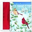 Holiday Cardinals Holiday Cards -