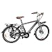 e-Moto 2.0 Velocity 37-Volt Comfort Electric Bicycle (Silver, 26-19-Inch) e-Moto 2.0 Velocity 37-Volt Comfort Electric Bicycle (Silver, 26-19-Inch)