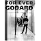 Excellent Books on Godard