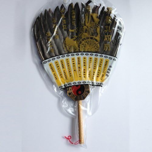 Sengoku fan cosplay costume Three Kingdoms Goods serious Dynasty Warriors Zhuge Liang Liang wind [amount-limited] (japan import) by World Surprise