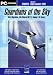 Guardians of the Sky: Flight Sim Add-on