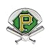 Aminco MLB Pittsburgh Pirates Field Pin