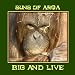 Big and Live