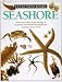Seashore (Eyewitness Books)