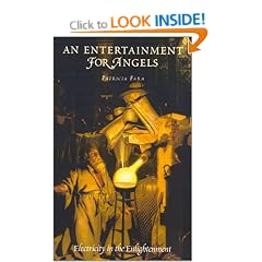An Entertainment for Angels: Electricity in the Enlightenment (Revolutions in science)