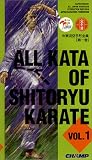 Review Dragon Associates Inc.  / Shito Ryu Karate Kata Vol 1 Heian 1-2 (Tsunami)