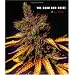 The Good Bud Guide