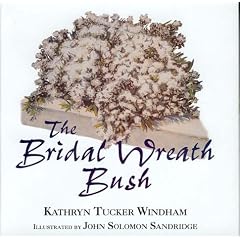 Bridal Wreath Bush
