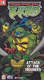 Teenage Mutant Ninja Turtles - Attack of the Mousers [VHS]