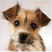 ジョンの純な恋物語[特別完全版]~6 Songs for DOG LOVERS~