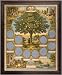 Ancestry 16 by 20-Inch Poster In Solid Wood Frame-Traditional Framily Tree