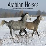 Arabian Horses 2011 Wall Calendar #30123-11