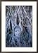 Buddha Statue in Tree at Ayuthaya Historical Park, Ayuthaya Historical Park, Thailand, Thailand Framed Poster Print by Ryan Fox, 21x29
