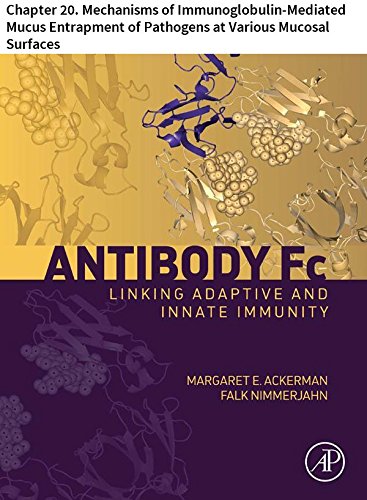 Antibody Fc: Chapter 20. Mechanisms of Immunoglobulin-Mediated Mucus Entrapment of Pathogens at Various Mucosal Surfaces