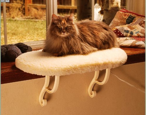 Childrens Toyshop  Pet Supplies : K&H Thermo Kitty Sill