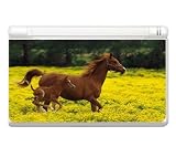 Factory Outlet Animal Kingdom Horse Horses Decorative Protector Skin Decal Sticker for Nintendo DS Lite