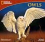 Owls - 2010 National Geographic Wall Calendar