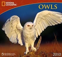 Owls - 2010 National Geographic Wall Calendar