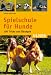 Image of Spielschule für Hunde