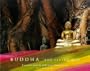 Buddha: The Living Way