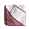Tadpoles Basics Red Gingham Towel with Bath Mitt