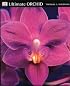 Ultimate Orchid