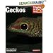 Geckos (Complete Pet Owner's Manual)