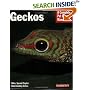 Geckos (Complete Pet Owner's Manual)
