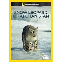 Snow Leopard of Afghanistan