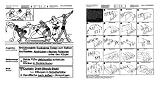  : Reivo® Lern- und Lehrtafel Leichtathletik