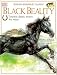 DK Read & Listen: Black Beauty