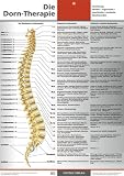 Die Dorn-Therapie. Poster 59,4 x 84 cm