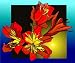 Red & Yellow Gladiolus Flowers - Etched Vinyl Stained Glass Film, Static Cling Window Decal